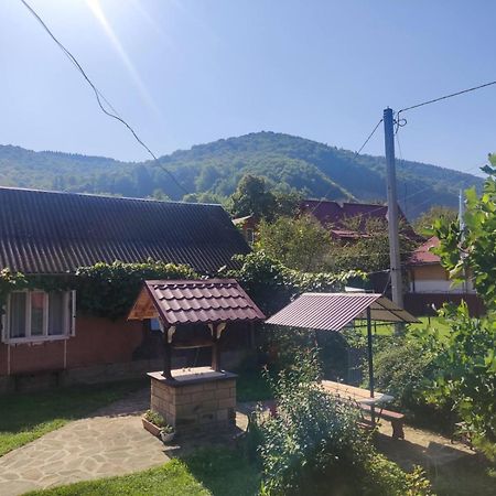Borgaza Hotel Jaremtsje Buitenkant foto