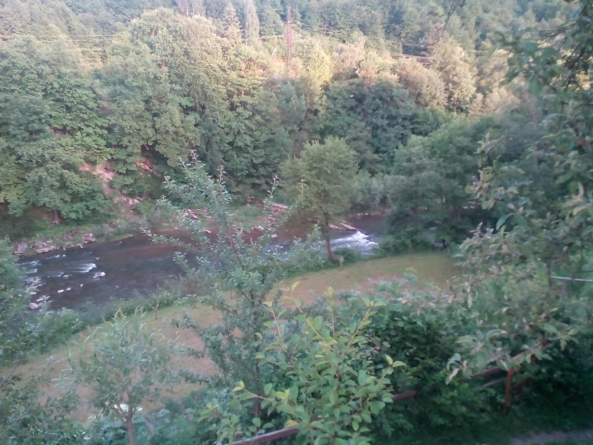 Borgaza Hotel Jaremtsje Buitenkant foto